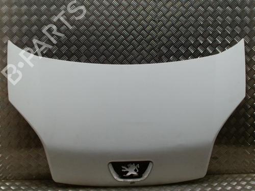 Capot Capot PEUGEOT BIPPER (AA_) 1.4 HDi (68 hp) 36003807 36003807