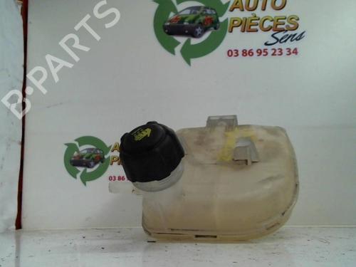 Used Expansion tank RENAULT TWINGO II (CN0_) 1.2 16V (CN04, CN0B) (75 hp) 25401402