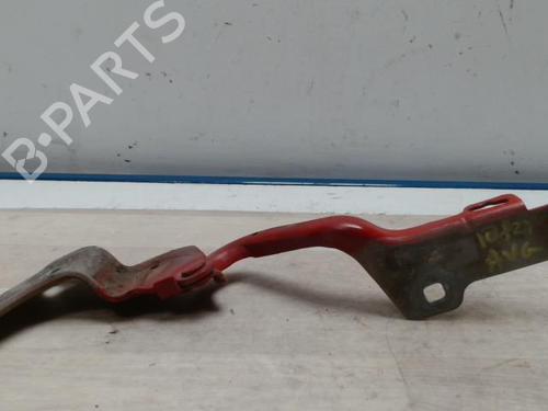 Used Hinge/Door check strap RENAULT CLIO III (BR0/1, CR0/1) 1.5 dCi (BR17, CR17) (86 hp) 25419592