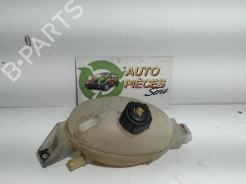 Expansion tank RENAULT MASTER III Van (FV) 2.3 dCi 125 FWD (FV0C, FV0D, FV0G, FV0H, FV0J, FV0K,... | BP25398603C120 