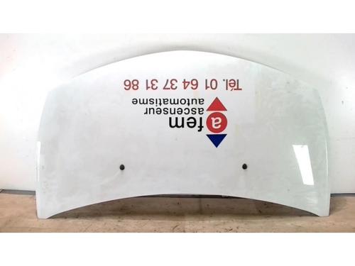 Hood RENAULT CLIO III (BR0/1, CR0/1) 1.5 dCi | BP25421422C1 
