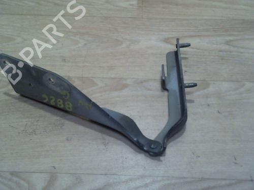 Hinge/Door check strap CITROËN C3 I (FC_, FN_) 1.4 HDi | BP25384638C146