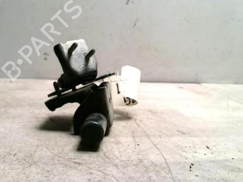 Hinge/Door check strap RENAULT CLIO III (BR0/1, CR0/1) 1.5 dCi (BR17, CR17) | BP25424383C146 