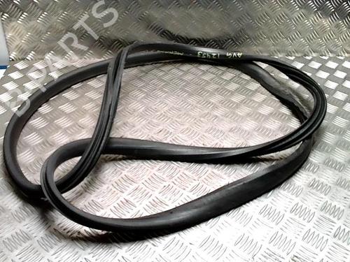 Gummiliste RENAULT MEGANE III Coupe (DZ0/1_) 1.9 dCi (DZ0N, DZ0J, DZ1J, DZ1K) (131 hp) 31811816