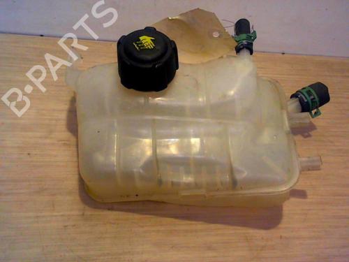Used Expansion tank RENAULT MEGANE III Hatchback (BZ0/1_, B3_) 1.5 dCi (BZ09, BZ0D, BZ1W, BZ29, BZ14) (110 hp) 25391783