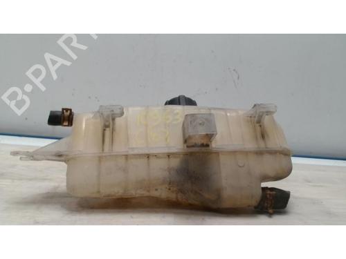 Used Expansion tank RENAULT CLIO III (BR0/1, CR0/1) 1.5 dCi (BR17, CR17) (86 hp) 25419070
