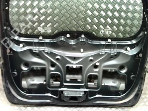 Tailgate RENAULT SCÉNIC III (JZ0/1_) 1.6 dCi (JZ00, JZ12) | BP30118120C6 
