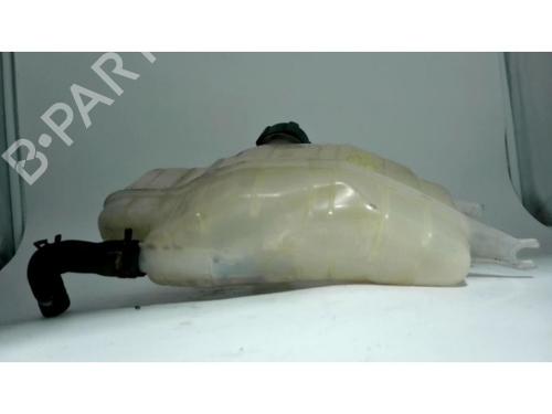 Expansion tank RENAULT CLIO III Grandtour (KR0/1_) 1.5 dCi (KR0F) | BP25430874C120 