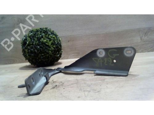 Hinge/Door check strap CITROËN C3 I (FC_, FN_) 1.4 16V HDi | BP25383879C146 