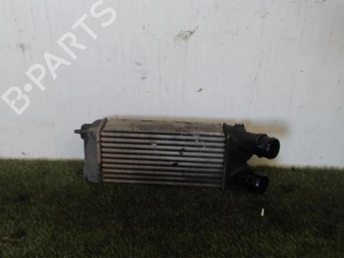 Intercooler CITROËN BERLINGO / BERLINGO FIRST Box Body/MPV (M_) 1.6 HDI 90 (MB9HX, MC9HX) | BP25396400M30 
