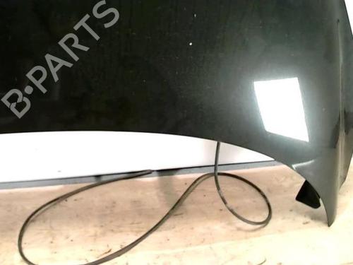 Hood RENAULT SCÉNIC III (JZ0/1_) 1.9 dCi (JZ0J, JZ1J, JZ1K, JZ1S) | BP25421178C1