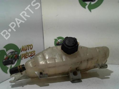 Used Expansion tank RENAULT CLIO III (BR0/1, CR0/1) 1.5 dCi (C/BR0G, C/BR1G) (68 hp) 25400145