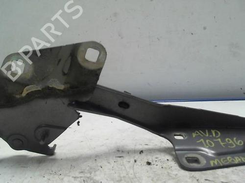 hingedoor-check-strap-renault-megane-iii-hatchback-bz01_-b3_-2008-25418476 main image