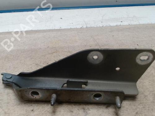 Used Hinge/Door check strap CITROËN C3 I (FC_, FN_) 1.6 16V (109 hp) 28005236