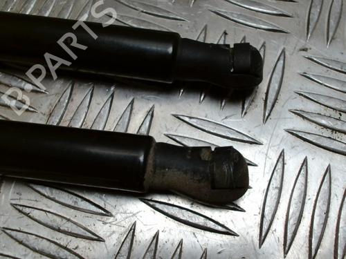 Tailgate lift support RENAULT CLIO V (B7_) 1.5 Blue dCi 85 (B7AG) | BP31230027C138