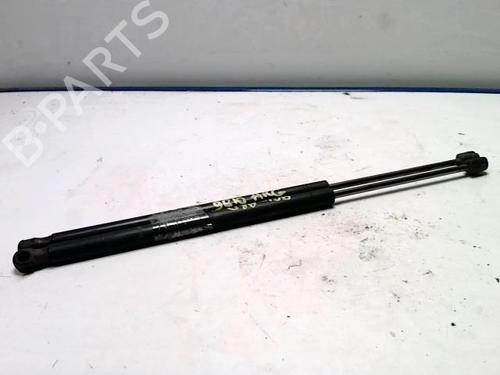 Used Tailgate lift support RENAULT SCÉNIC II (JM0/1_) 1.5 dCi (JM1E, JM16) (106 hp) 25416360