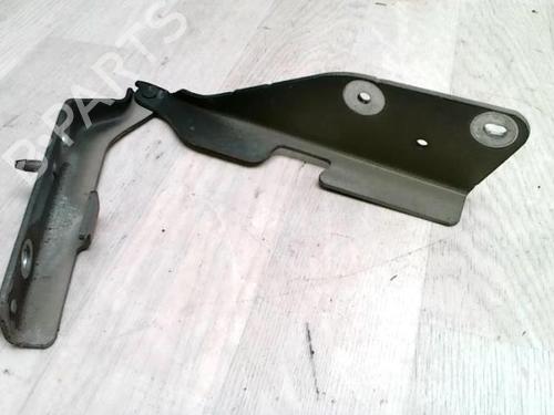 Hinge/Door check strap CITROËN C3 I (FC_, FN_) 1.4 HDi | BP25426678C146 