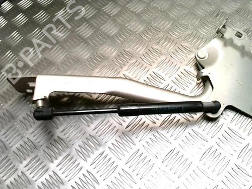 Hinge/Door check strap RENAULT GRAND SCÉNIC III (JZ0/1_) 1.4 16V (JZ0F) | BP25774594C146 