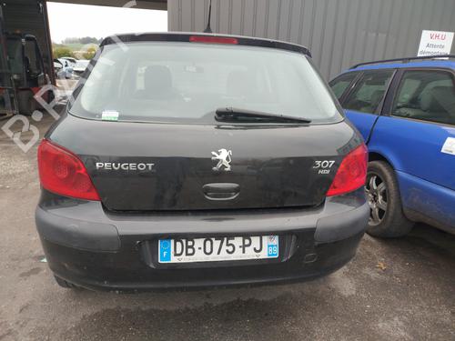 Exhaust manifold PEUGEOT 307 (3A/C) 1.6 HDi | BP31228547M110 