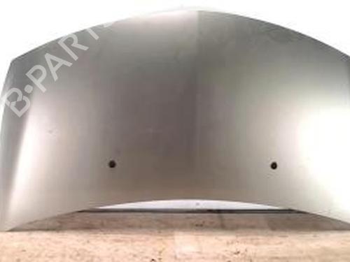 Used Hood RENAULT CLIO III (BR0/1, CR0/1) 1.5 dCi (C/BR0G, C/BR1G) (68 hp) 25419146