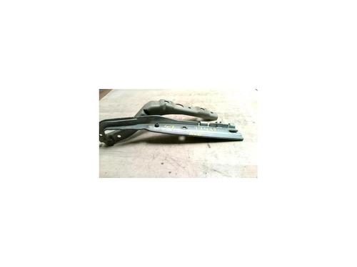 Used Hinge/Door check strap PEUGEOT 407 (6D_) 2.0 HDi 135 (6DRHRH, 6DRHRE, 6DRHRG, 6DRHRJ) (136 hp) 25423538