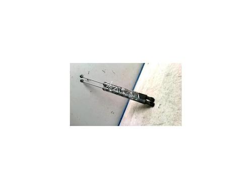Used Tailgate lift support RENAULT CLIO III (BR0/1, CR0/1) 1.2 16V (BR02, BR0J, BR11, CR02, CR0J, CR11) (75 hp) 25424298
