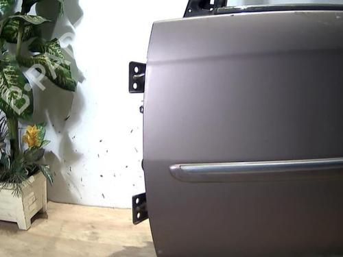 Left front door LANCIA MUSA (350_) 1.3 D Multijet (350.AXB11, 350.AXB1A) | BP25409380C2 