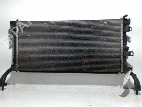 Used Water radiator RENAULT LAGUNA III (BT0/1) 1.5 dCi (BT00, BT0A, BT0T, BT1J) (110 hp) 25400239