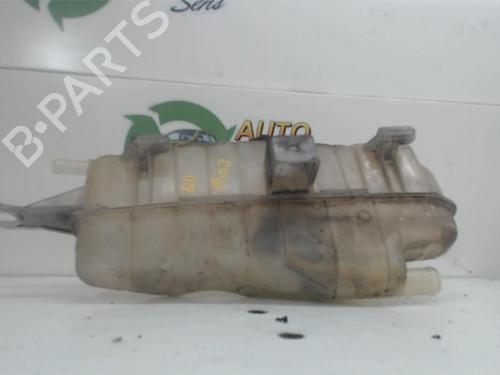 Used Expansion tank RENAULT CLIO III (BR0/1, CR0/1) 1.5 dCi (BR0H, CR0H, CR1S, BR1S) (106 hp) 25398130