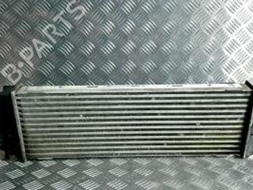 Used Intercooler RENAULT TRAFIC II Van (FL) 2.0 dCi 115 (FL01, FL0U) (114 hp) 25441898