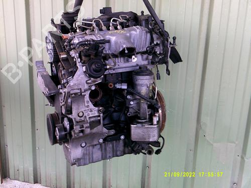 Used Engine VW GOLF VI (5K1) 2.0 TDI (110 hp) 31081722