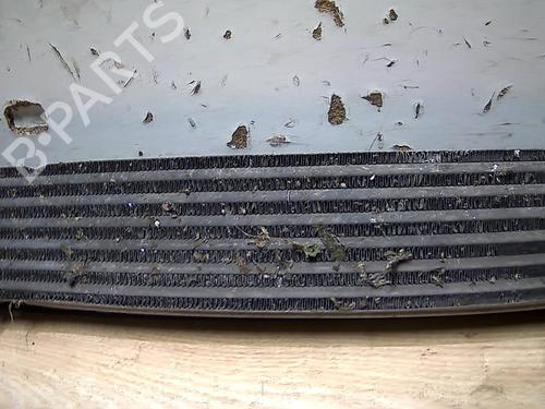 Intercooler FIAT GRANDE PUNTO (199_) 1.3 D Multijet | BP31225425M30