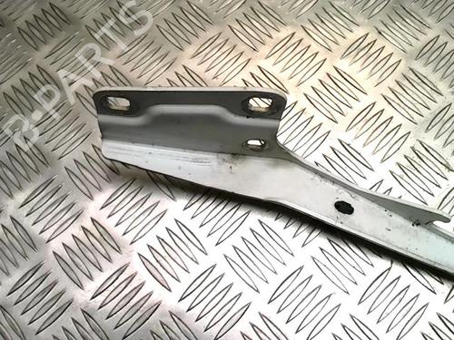 Used Hinge/Door check strap RENAULT MEGANE III Coupe (DZ0/1_) 1.5 dCi (DZ0A) (86 hp) 25861324
