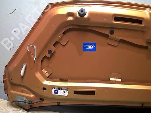 Hood PEUGEOT 1007 (KM_) 1.4 | BP29047530C1 