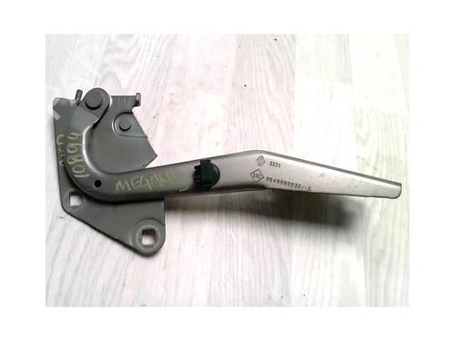 Used Hinge/Door check strap RENAULT MEGANE III Hatchback (BZ0/1_, B3_) 1.5 dCi (106 hp) 25418623