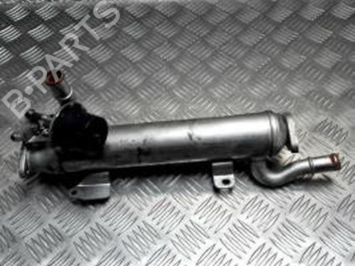 Used Egr RENAULT CLIO II (BB_, CB_) 1.9 dTi (B/CB0U) (80 hp) 26198049