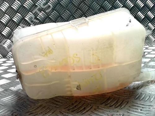 Expansion tank RENAULT SCÉNIC III (JZ0/1_) 1.6 dCi (JZ00, JZ12) | BP30809669C120