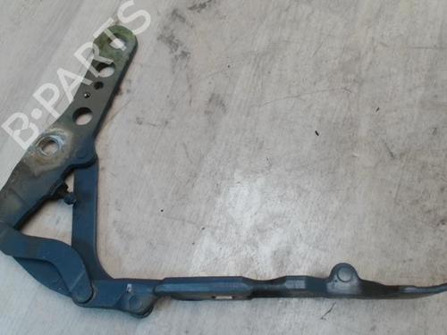 Used Hinge/Door check strap RENAULT MEGANE I (BA0/1_) 1.6 e (BA0F, BA0S) (90 hp) 27670477