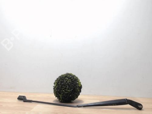 Used Front windshield wiper arm VW POLO (9N_, 9A_) 1.4 TDI (80 hp) 25387123
