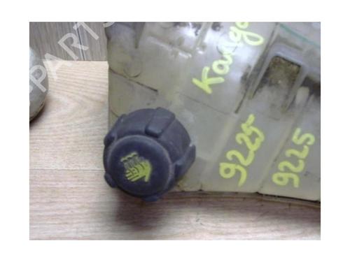 Expansion tank RENAULT KANGOO Express (FW0/1_) 1.5 dCi 85 (FW0K, FW0L, FW0B) | BP25409285C120 