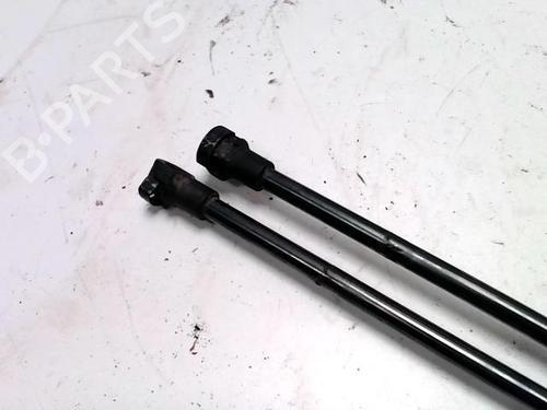 Tailgate lift support FORD KA (RU8) 1.2 | BP31236328C138