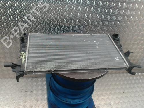 Used Water radiator RENAULT MEGANE III Coupe (DZ0/1_) 1.9 dCi (DZ0N, DZ0J, DZ1J, DZ1K) (131 hp) 31231223