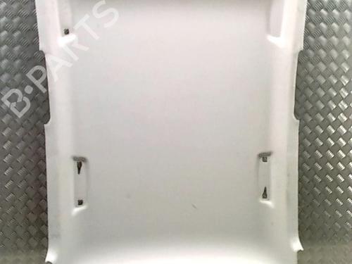 Tetto interno RENAULT CLIO V (B7_) 1.5 Blue dCi 85 (B7AG) (86 hp) 30497154