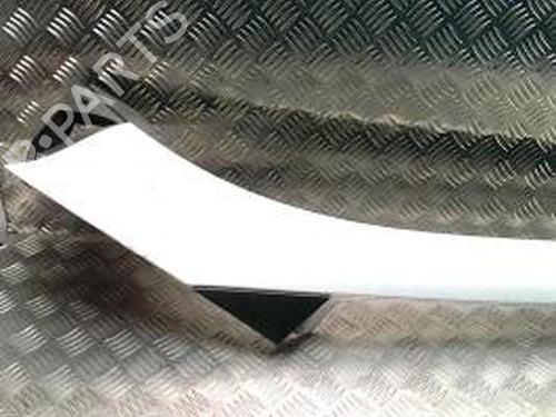 Used Scuttle panel RENAULT SCÉNIC III (JZ0/1_) 1.5 dCi (106 hp) 25715641