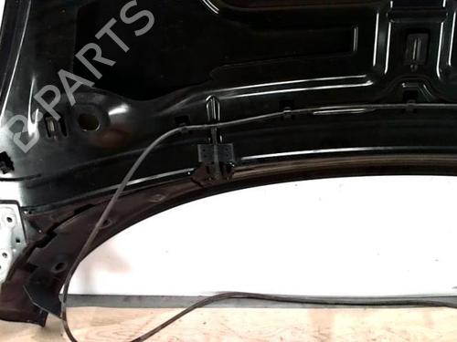 Hood RENAULT SCÉNIC III (JZ0/1_) 1.9 dCi (JZ0J, JZ1J, JZ1K, JZ1S) | BP25421178C1