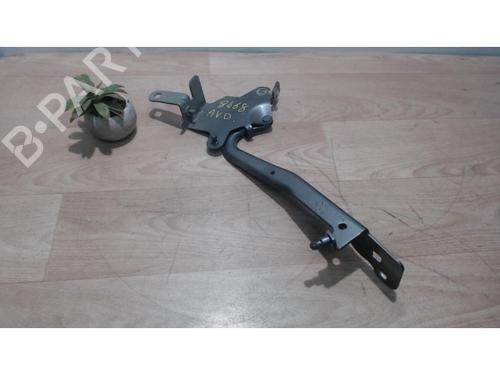 Used Hinge/Door check strap RENAULT SCÉNIC III (JZ0/1_) 1.5 dCi (110 hp) 25386113