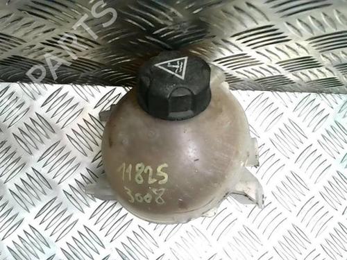 Expansion tank PEUGEOT 3008 I MPV (0U_) 1.6 HDi | BP25731341C120 