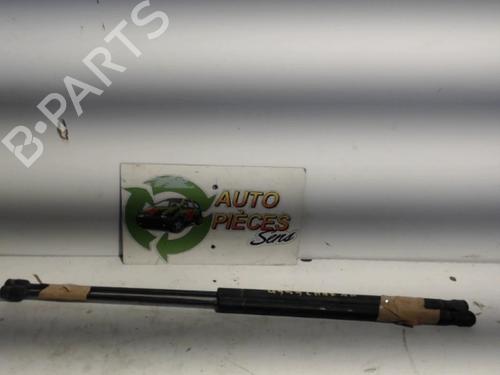 Used Tailgate lift support FORD C-MAX (DM2) 1.8 TDCi (115 hp) 25398381