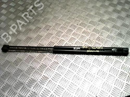 Used Tailgate lift support Tailgate lift support RENAULT SCÉNIC I MPV (JA0/1_, FA0_) 1.6 (JA00, JA16, JA15, JA19, JA1V, JA2B, JA2C, JA0B,... (107 hp) 36205838 36205838