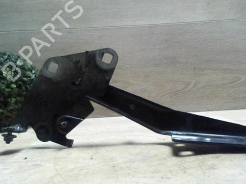 Hinge/Door check strap RENAULT MEGANE III Hatchback (BZ0/1_, B3_) 1.5 dCi | BP29232486C146 